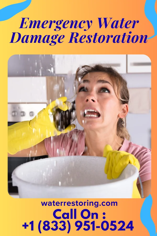 Emergency Water Damage Restoration in Brownsdale, MN