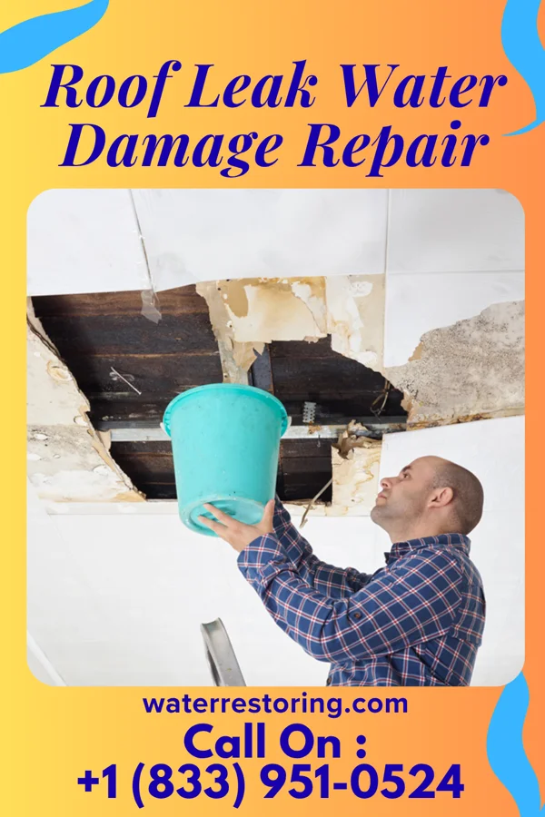 Roof Leak Water Damage Repair in Brownsdale, MN