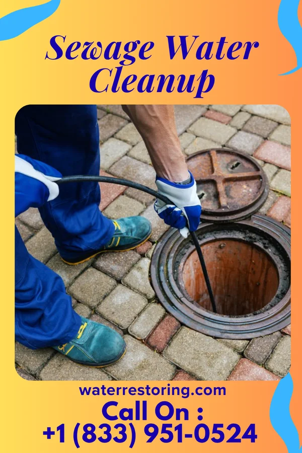 Sewage Water Cleanup in Brownsdale, MN