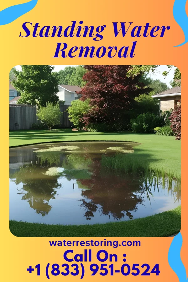 Standing Water Removal in Brownsdale, MN
